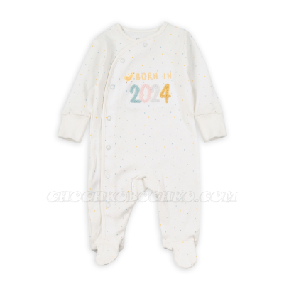 Гащеризон Born in 2024