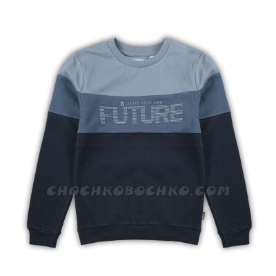 Суитчер блуза Future