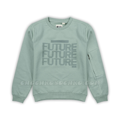 Суитчер блуза Future